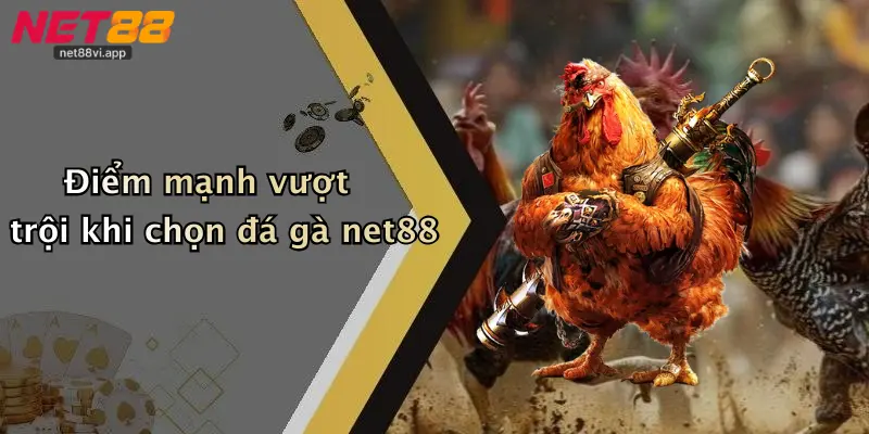 Điểm mạnh vượt trội khi chọn đá gà net88