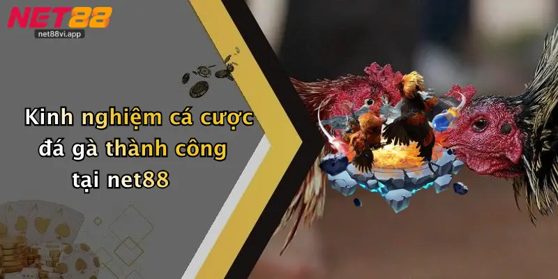 Kinh nghiệm cá cược đá gà thành công tại net88