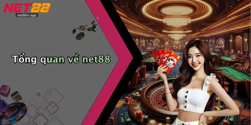 Tổng quan về net88